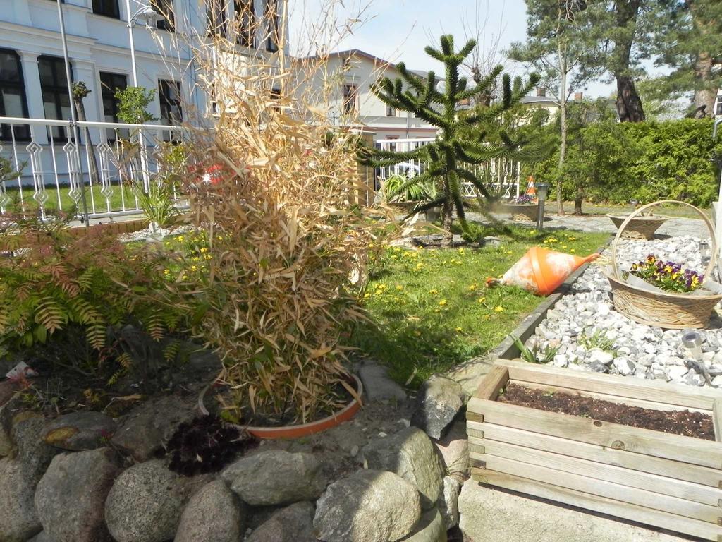 strandnahe Ferienwohnungen Ostseebad Heringsdorf Exterior foto